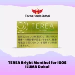 TEREA Bright Menthol in Dubai Ajman , Sharjah , Abudhabi , RAK