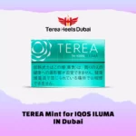 TEREA Mint