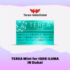TEREA Mint for IQOS ILUMA in in Dubai Ajman , Sharjah , Abudhabi , RAK UAE