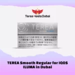 Buy IQOS TEREA Smooth Regular in Dubai UAE