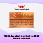 TEREA Tropical Menthol