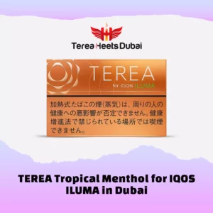 TEREA Tropical Menthol for IQOS ILUMA in Dubai Ajman , Sharjah , Abu Dhabi , RAK
