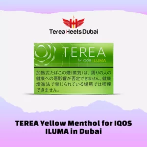TEREA Yellow Menthol for IQOS ILUMA Dubai UAE
