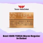 IQOS TEREA Warm Regular in Dubai