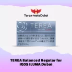 IQOS Terea Balanced Regular Japan photo 1