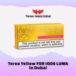 Terea Yellow for IQOS Iluma in Dubai, Ajman , Sharjah, Abu Dhabi, RAK in UAE