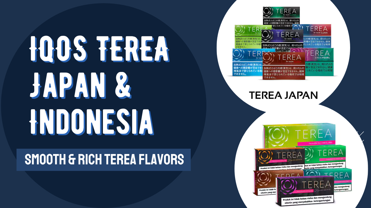 IQOS TEREA Japan & Indonesian in Abu Dhabi and Dubai Complete User Guide