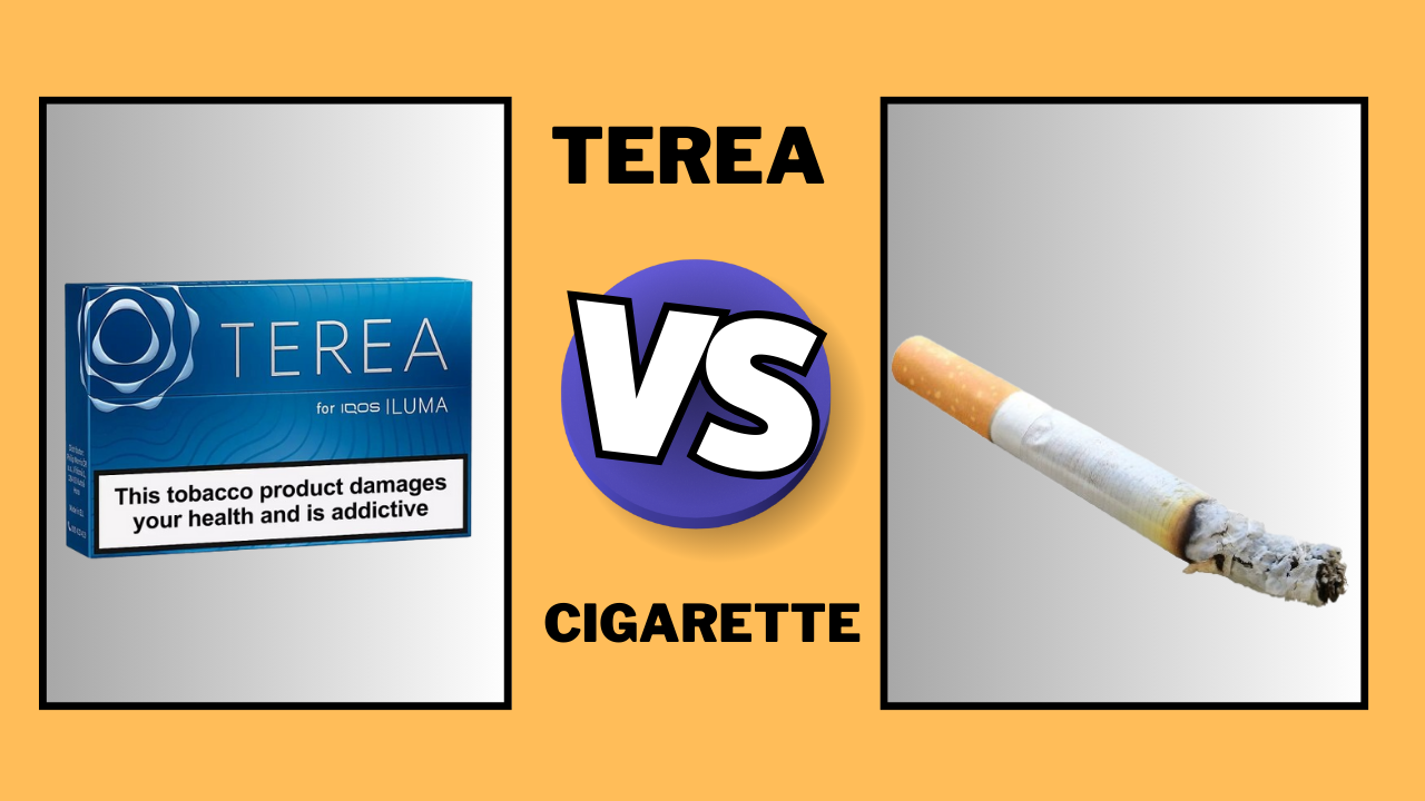 IQOS Terea vs Regular Cigarettes: Revealing the Truth