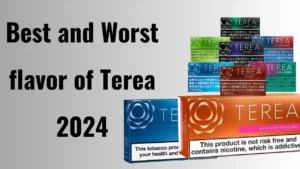 The Best & Worst IQOS Terea Flavors Dubai 2024 Ranked!