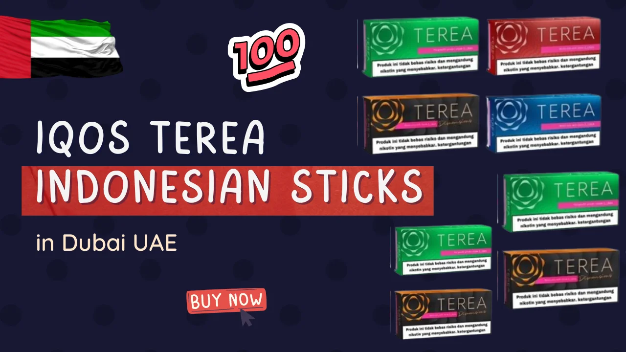 Terea Indonesian Stiks Review in Dubai: Flavor, Price and More