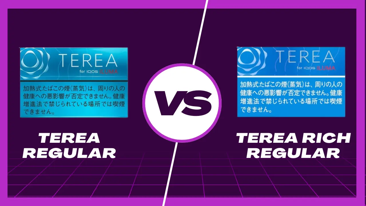 Iqos Terea Regular Vs Terea Rich Regular: Full Comparison