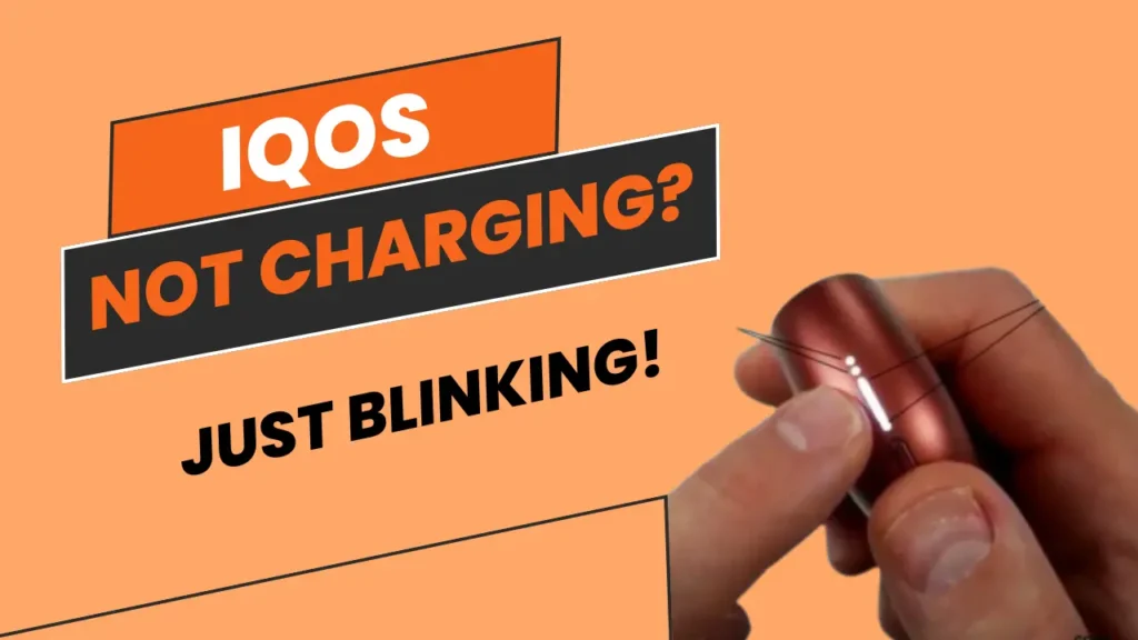 IQOS Not Charging Just Blinking!