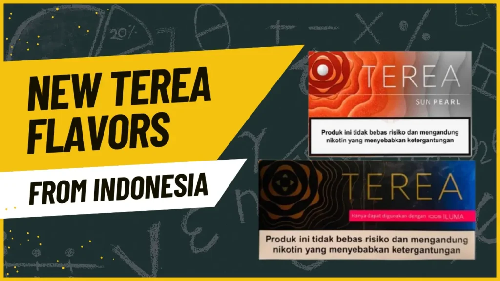 New Terea Indonesian Flavour A Must-Try for Flavour Lovers