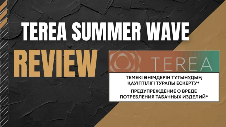 Terea Summer Wave Review A Light Refreshing Flavor