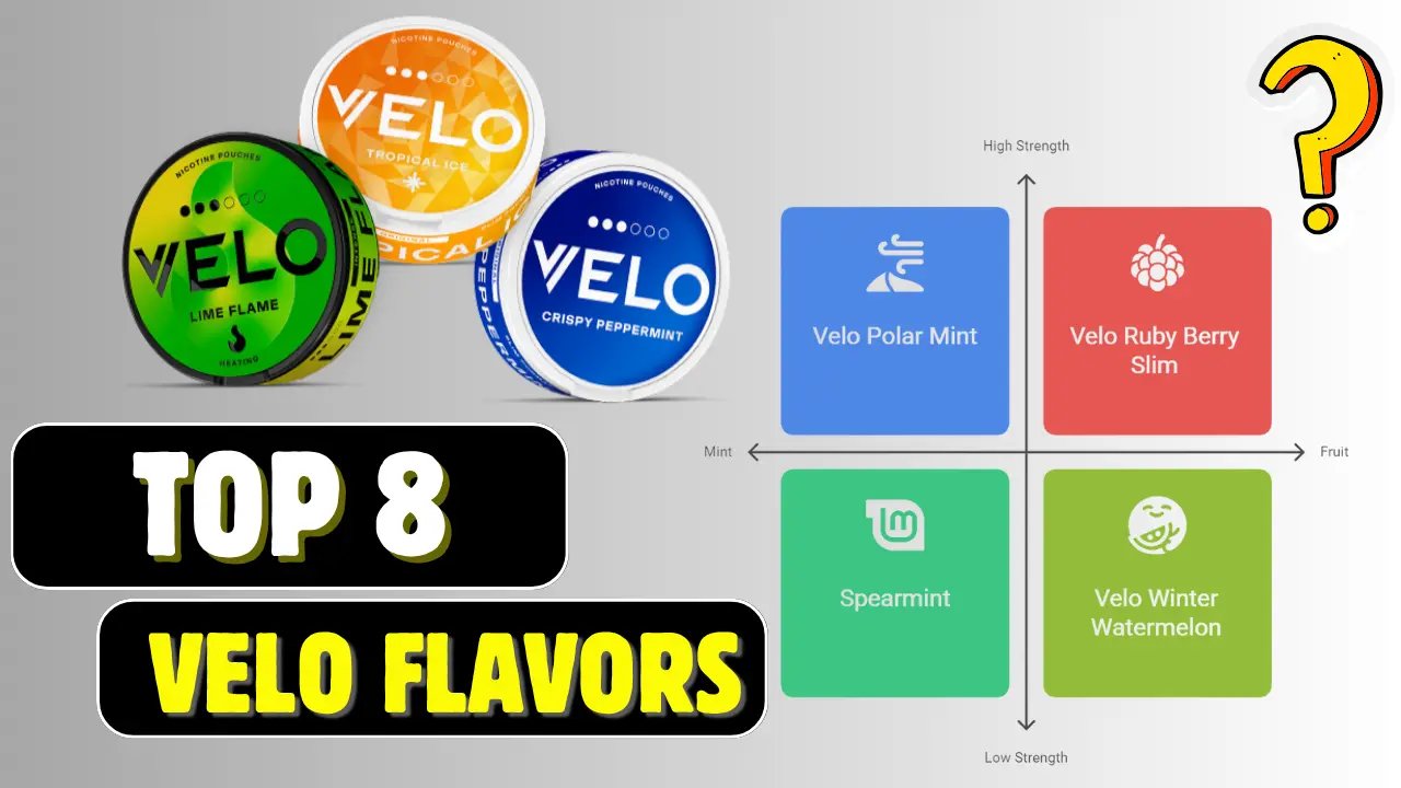 Top 8 Velo Nicotine Pouch Flavors Available in UAE