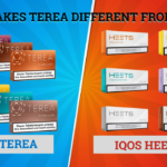 What Makes TEREA Different from HEETS