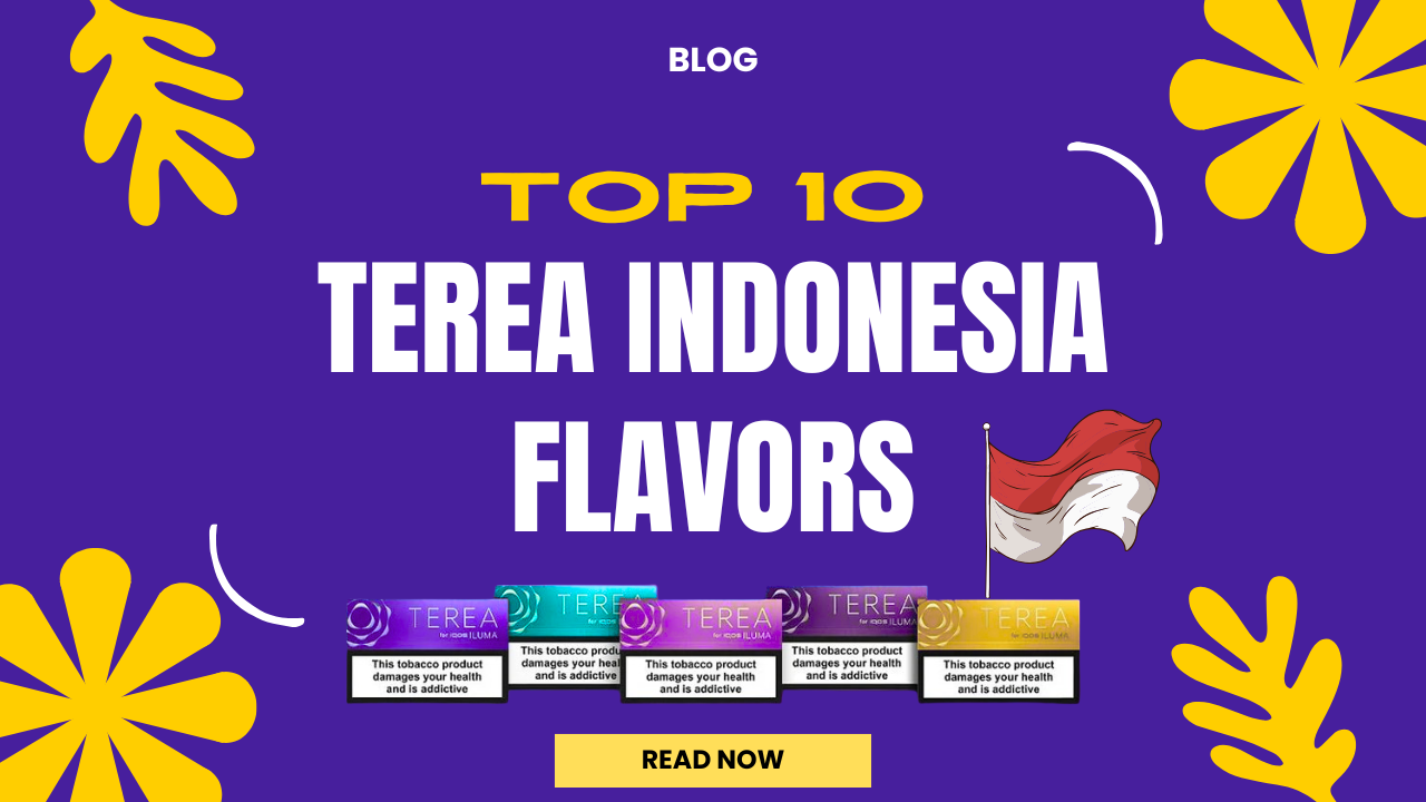 Top 10 TEREA Indonesia Flavors for IQOS ILUMA in UAE