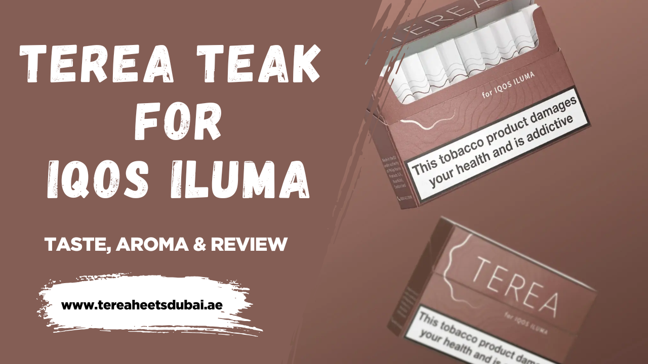 TEREA Teak for IQOS ILUMA Taste, Aroma, and User Experience Reviewed