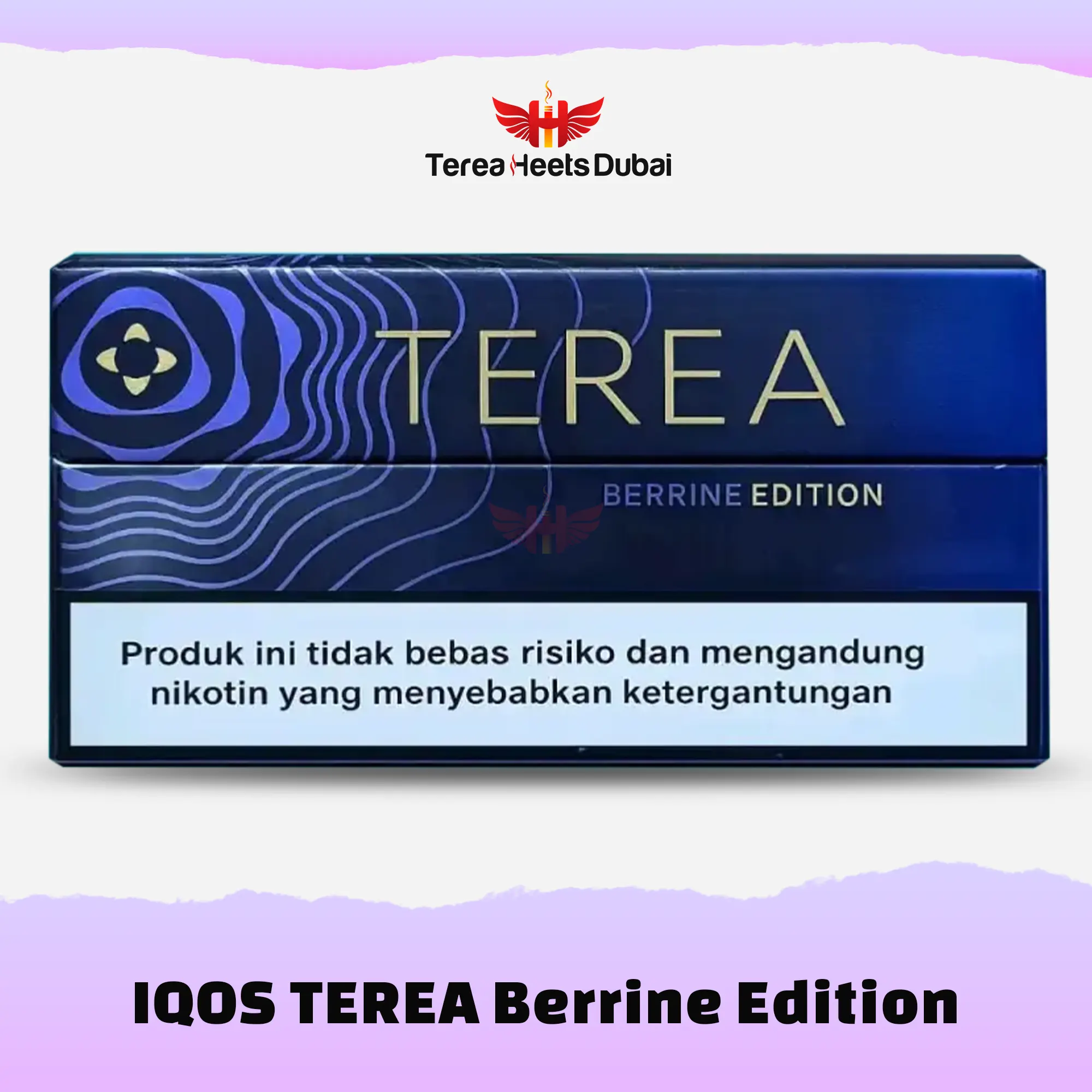 IQOS TEREA Berrine Edition Indonesian 1 TEREA Berrine Edition Indonesia for IQOS ILUMA