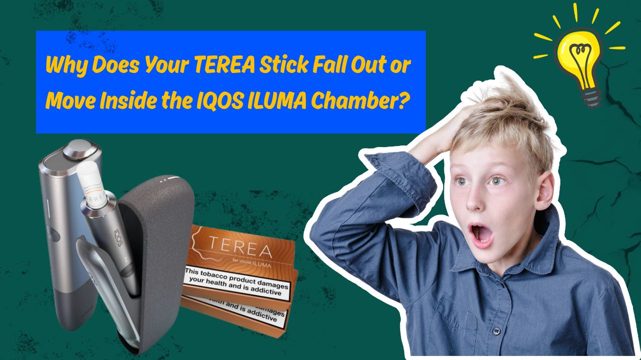Loose TEREA Stick in IQOS ILUMA? Causes, Fixes & Tips