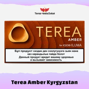TEREA Amber Kyrgyzstan heated tobacco sticks packaging with rich toasted tobacco characteristics and no menthol flavor in the UAE