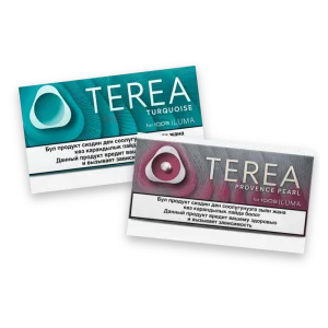 terea kyrgyzstan dubai