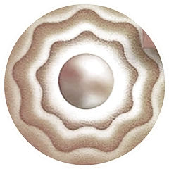 terea pearl flavors flavor icon v2