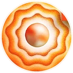 terea sun pearl flavor icon v2