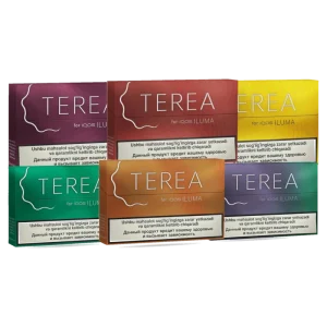 terea uzbekistan dubai